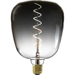 Calex Led Xxl Globe 20x28cm^ Lichtbronnen